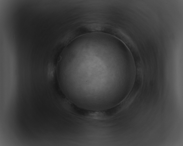 X0000100890125200806241239