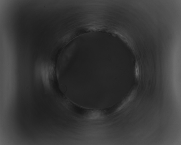 X0000100890127200806241239