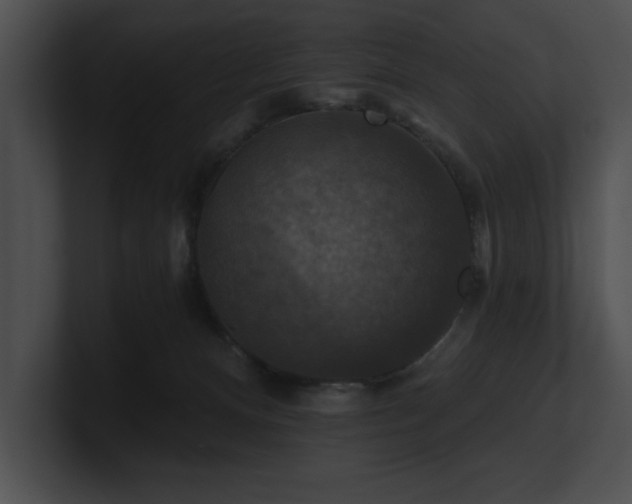 X0000100890128200806241239