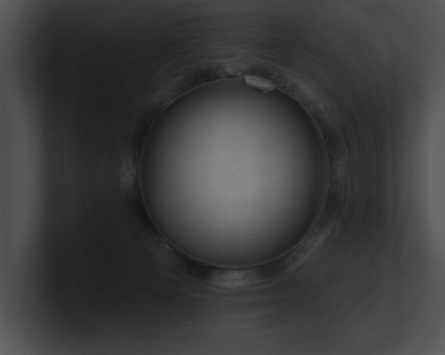 X0000100890129200806241239