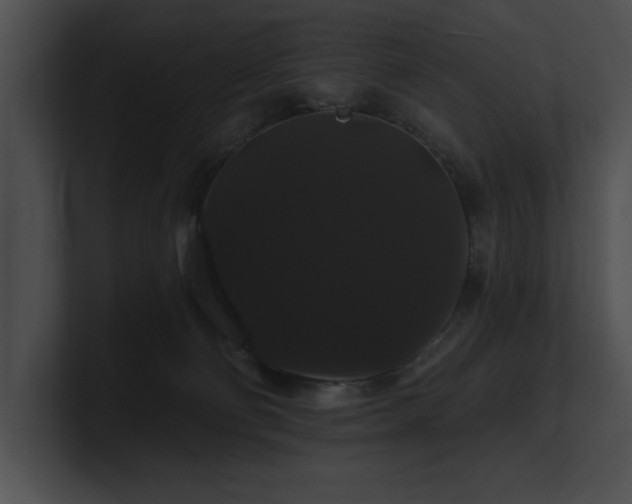 X0000100890130200806241239