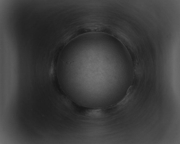 X0000100890132200806241239