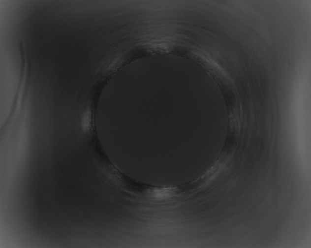 X0000100890134200806241239