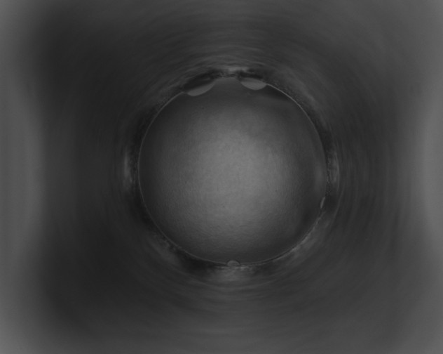 X0000100890136200806241239