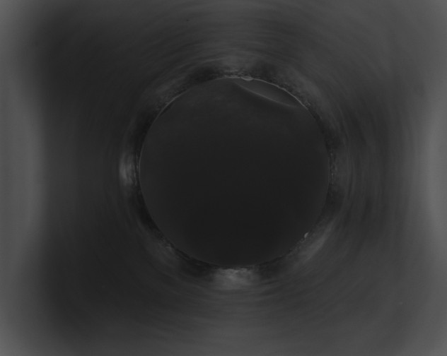 X0000100890137200806241239