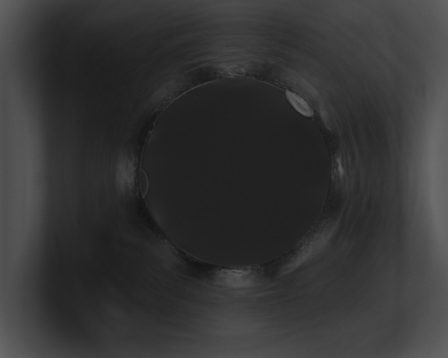 X0000100890139200806241239