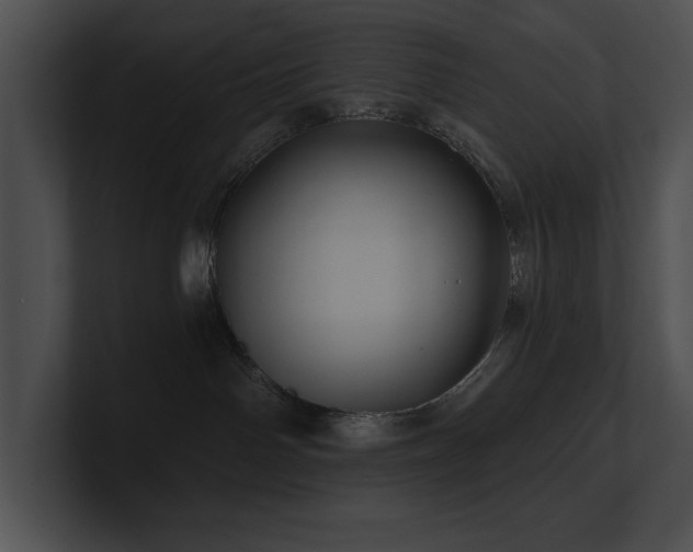 X0000100890142200806241239