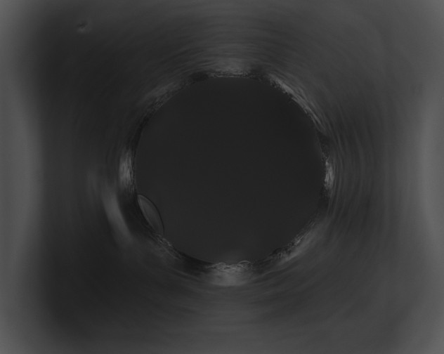 X0000100890143200806241239