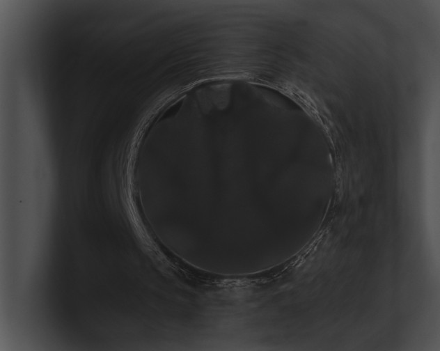 X0000100890145200806241238