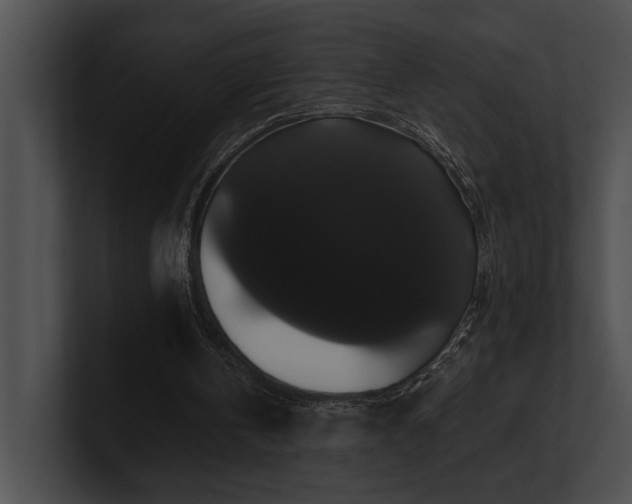 X0000100890146200806241238
