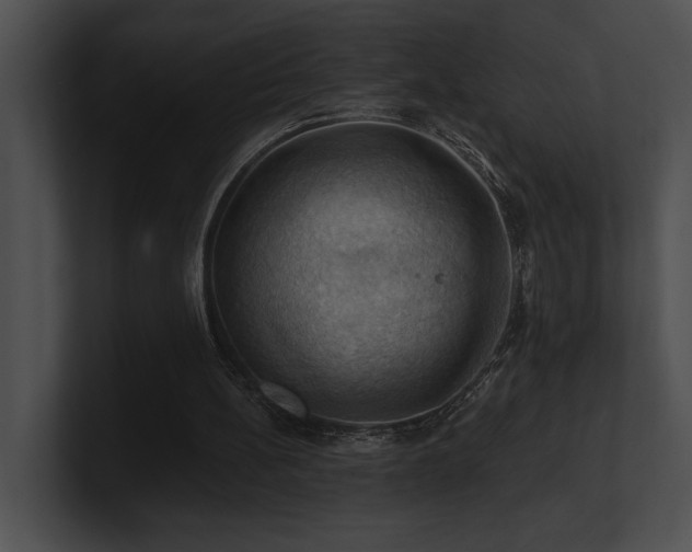 X0000100890148200806241238
