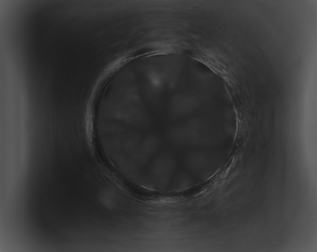 X0000100890149200806241238