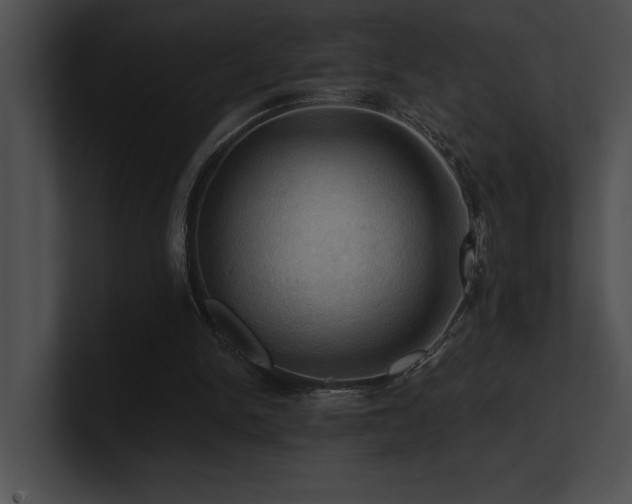 X0000100890150200806241238