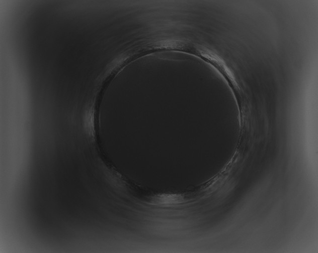 X0000100890154200806241238