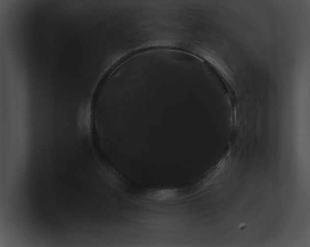 X0000100890156200806241238