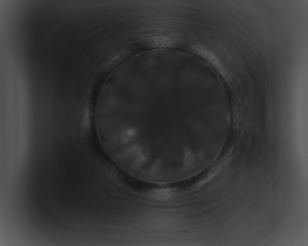 X0000100890161200806241239