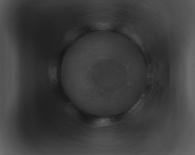 X0000100890162200806241239