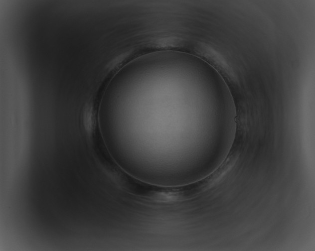 X0000100890164200806241239