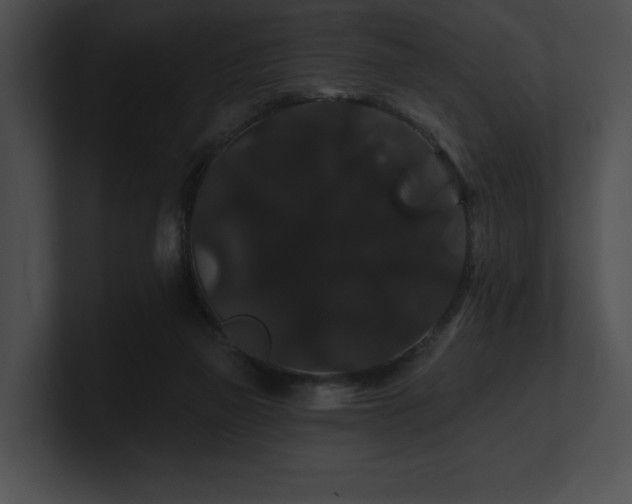 X0000100890165200806241239