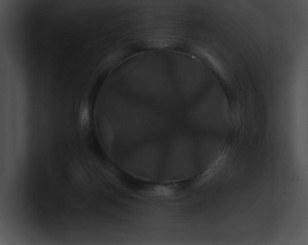 X0000100890166200806241239