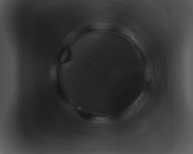 X0000100890167200806241239