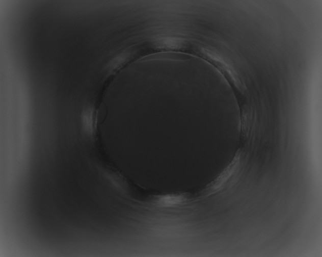 X0000100890168200806241239