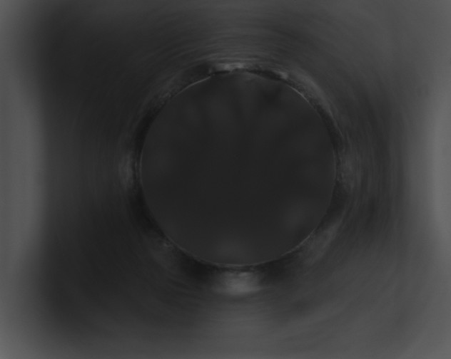 X0000100890169200806241239