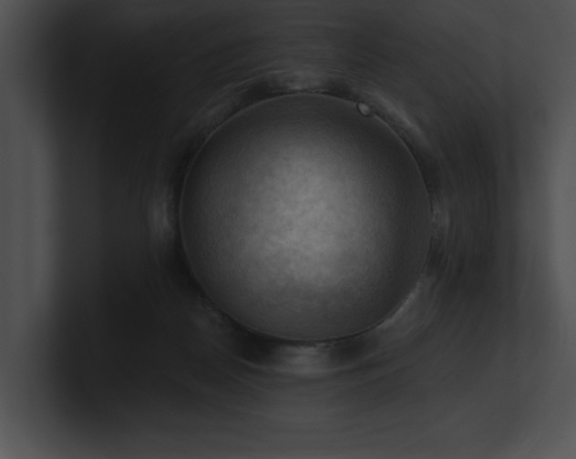 X0000100890170200806241239