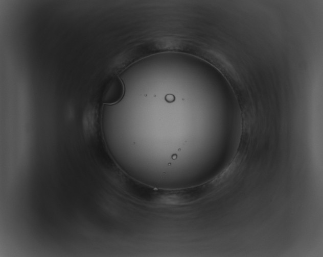 X0000100890171200806241239