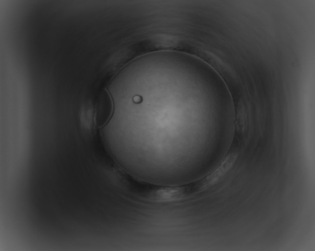 X0000100890172200806241239