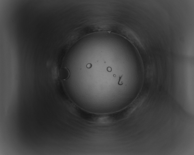X0000100890173200806241239