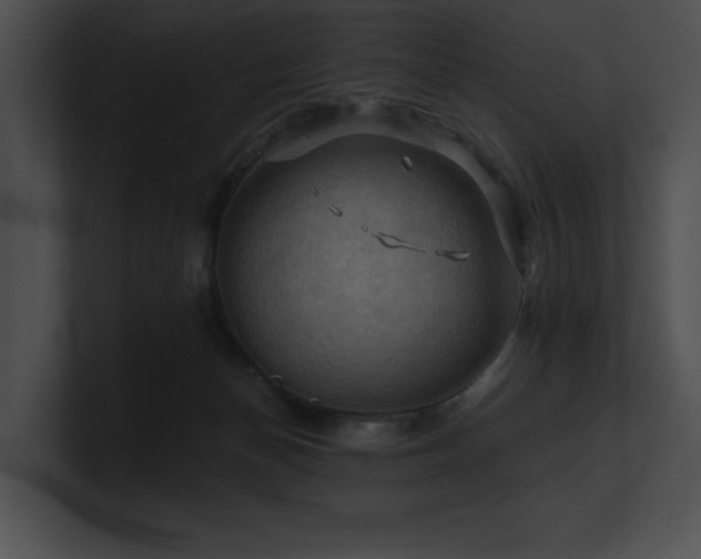 X0000100890174200806241239