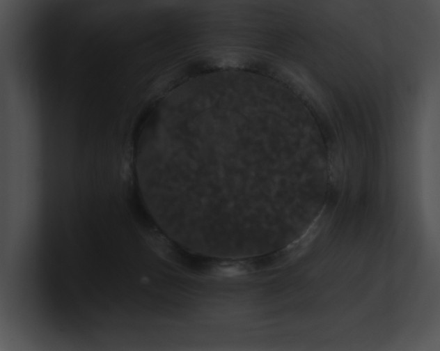 X0000100890175200806241239