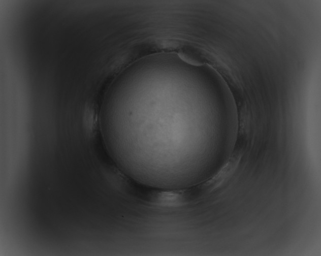 X0000100890176200806241239