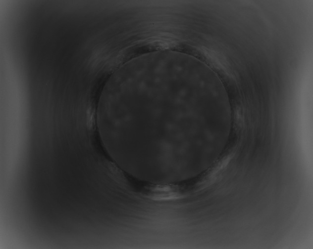 X0000100890177200806241239