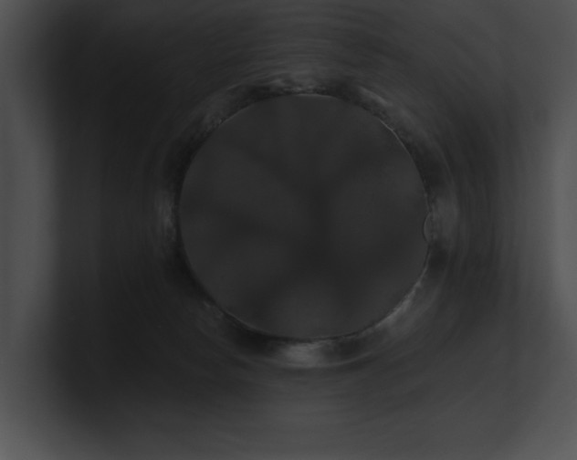 X0000100890178200806241239