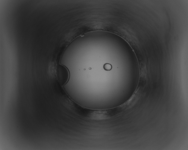 X0000100890179200806241239