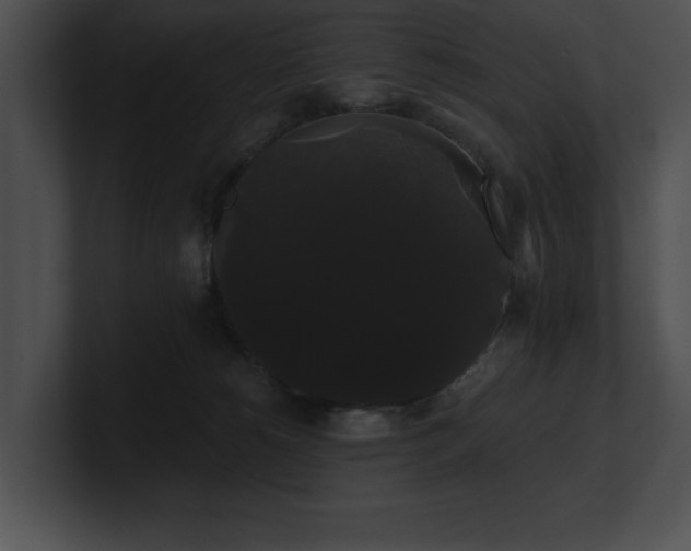 X0000100890180200806241239