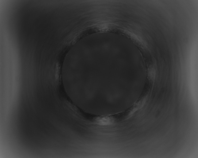 X0000100890181200806241239