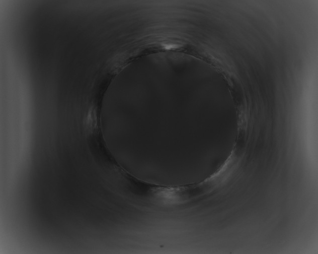 X0000100890182200806241239