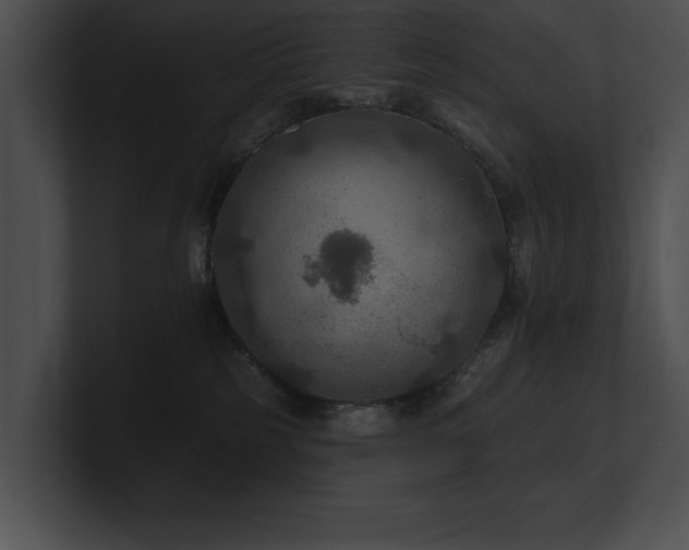 X0000100890185200806241239