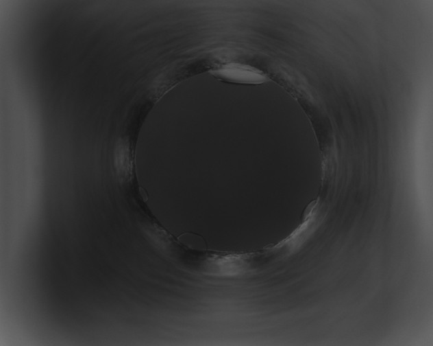X0000100890186200806241239