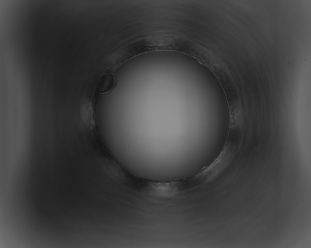 X0000100890187200806241239