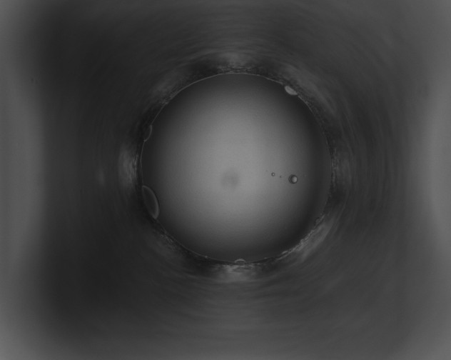 X0000100890188200806241239