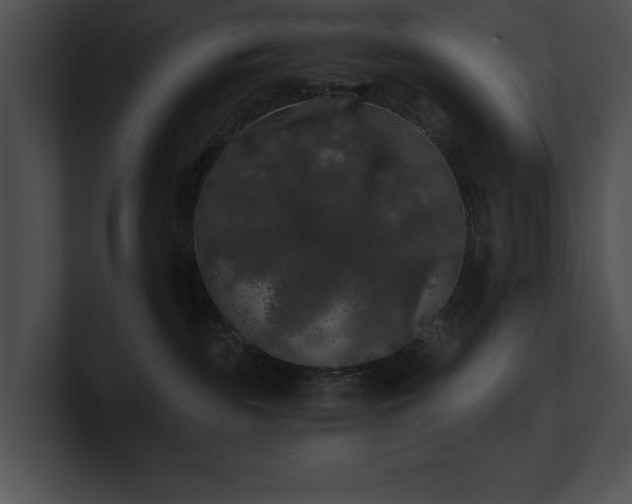 X0000100890189200806241239