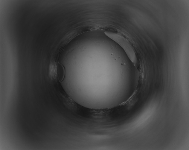X0000100890191200806241239