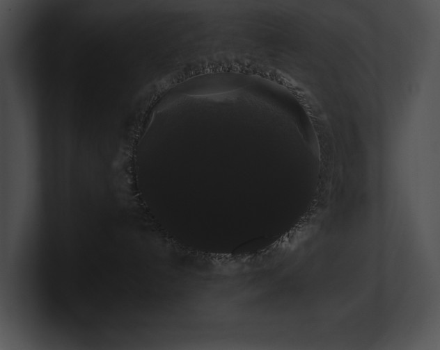 X0000100890192200806241239