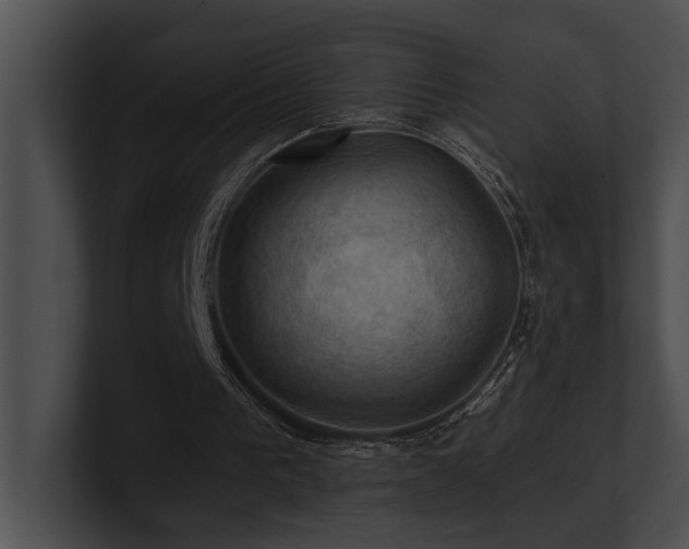 X0000100890193200806241238