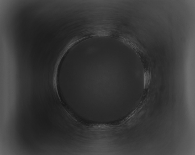 X0000100890195200806241238
