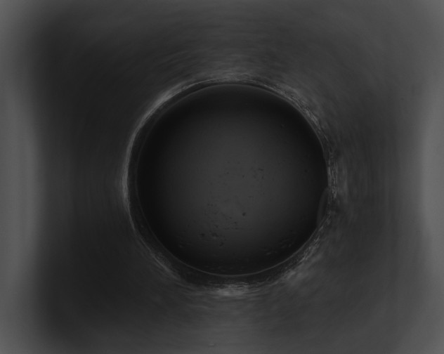 X0000100890196200806241238